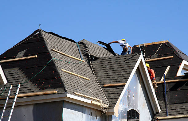 Best Roof Gutter Cleaning  in Tunica, MS